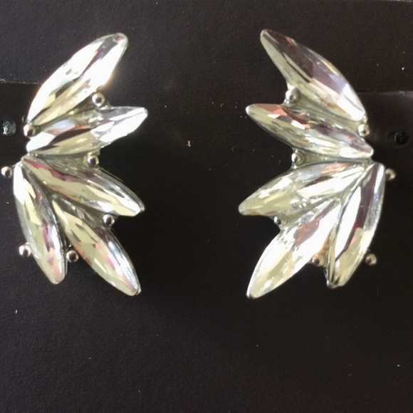 Elegant Rhinestone Earrings - Picture 1 of 4